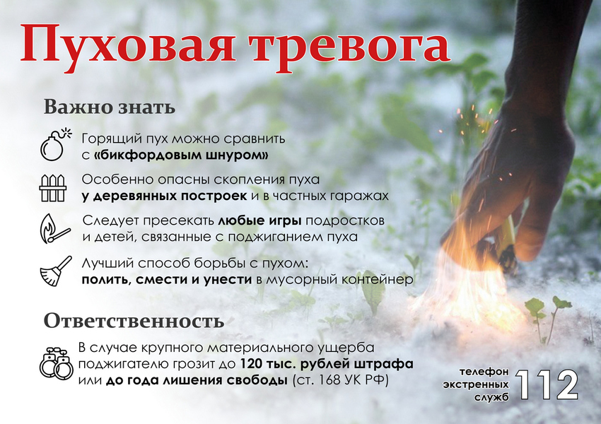 Пуховая тревога.jpg